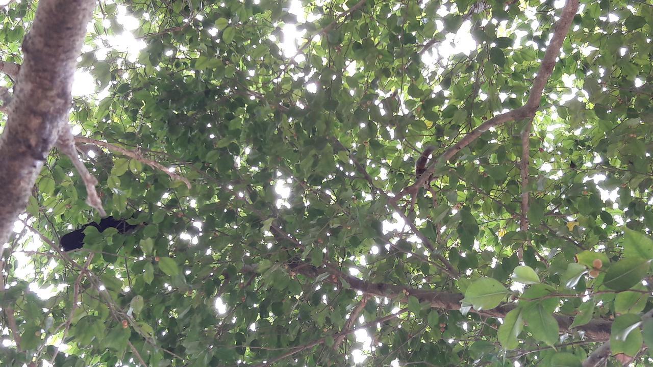 Amazing Villa 马特勒 外观 照片