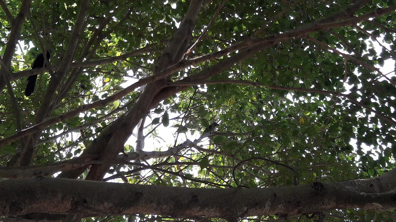Amazing Villa 马特勒 外观 照片