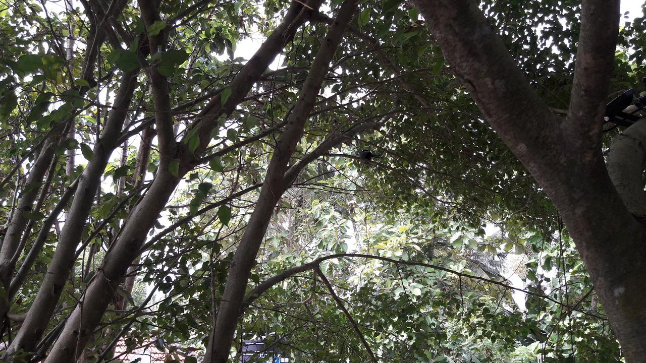 Amazing Villa 马特勒 外观 照片